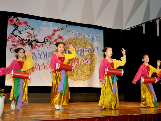 Sôi động "Ngày văn hóa Việt Nam" tại thủ đô Budapest ảnh 1