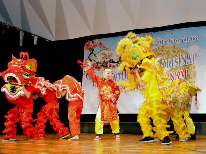 Sôi động "Ngày văn hóa Việt Nam" tại thủ đô Budapest ảnh 2