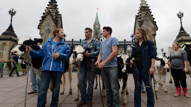 Báo Pháp: Thỏa thuận về TPP có thể đạt được trong tuần này ảnh 1