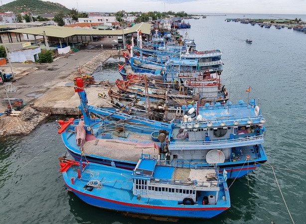 Tàu thuyền đánh bắt xa bờ của ngư dân vào neo đậu. (Ảnh: Nguyễn Thành/TTXVN) Tỉnh Thừa Thiên-Huế chủ động ứng phó với đợt mưa lũ lớn ảnh 1