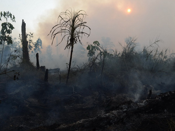 Malaysia kêu gọi Indonesia phản ứng tức thời với vấn đề khói bụi ảnh 1