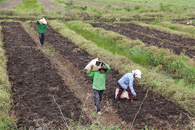 Nhân lên 'trái ngọt' từ Nghị quyết về nông nghiệp, nông dân, nông thôn ảnh 2