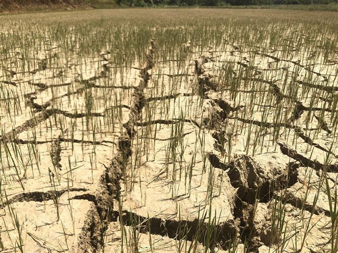 Công điện của Thủ tướng về ứng phó với nắng nóng, hạn hán tại Trung Bộ ảnh 1