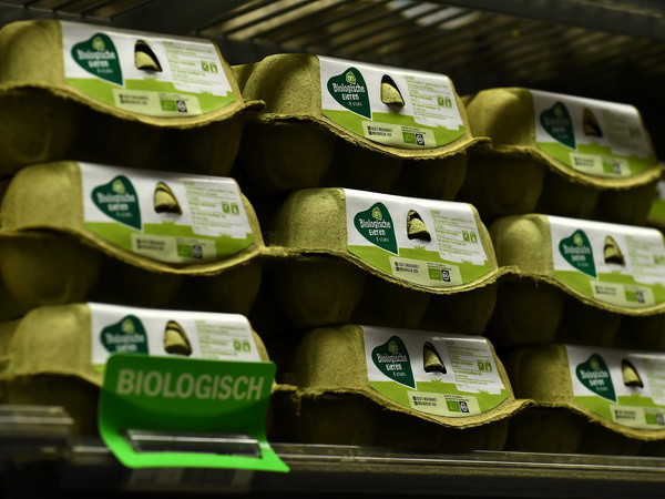 Hà Lan tiến hành chất vấn các quan chức về bê bối trứng "bẩn" ảnh 1