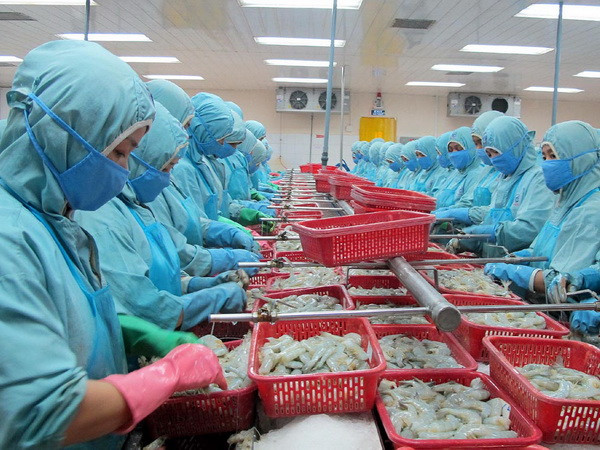 Xuất khẩu thủy sản của Cần Thơ sẽ tăng mạnh vào cuối năm ảnh 1