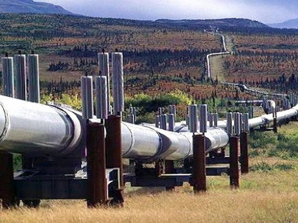 Giá dầu thị trường thế giới ở mức cao nhất trong hai năm qua ảnh 1