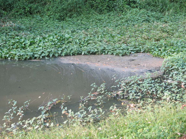 Bắt quả tang cơ sở tái chế dầu nhớt xả thải trực tiếp ra môi trường ảnh 1