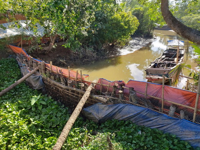 Bến Tre: Hiệu quả từ đập tạm ngăn mặn ở Chợ Lách ảnh 2