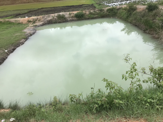 Hai trẻ em tử vong do đuối nước tại hồ chứa ở Gia Lai ảnh 1