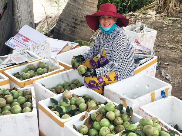 Thị trường rau củ, trái cây có nhiều biến động do ảnh hưởng khí hậu ảnh 1