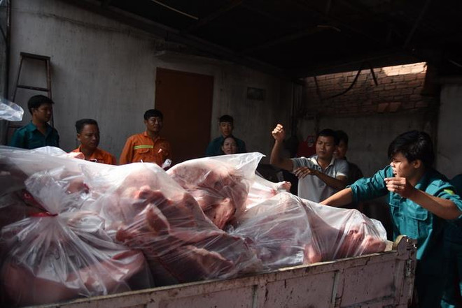 Thịt lợn dương tính với virus dịch tả lợn châu Phi bị đem đi tiêu hủy. (Ảnh: Lê Xuân/TTXVN) Hai container thịt lợn tại cơ sở làm giò chả nhiễm dịch tả châu Phi ảnh 1