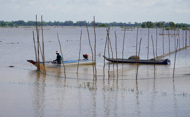 Mưu sinh mùa nước nổi nơi đầu nguồn của tỉnh Đồng Tháp ảnh 1