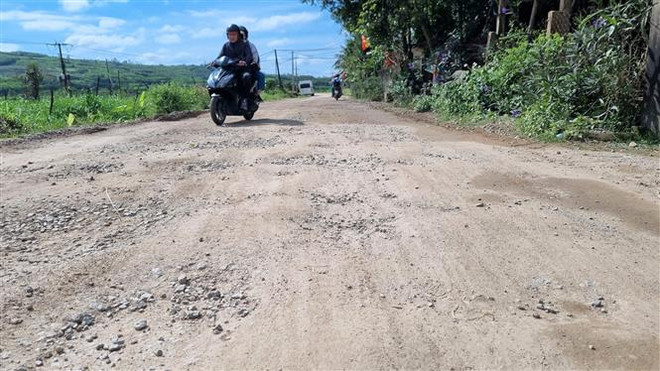 Quảng Ngãi: Đường dân sinh huyết mạch xuống cấp nghiêm trọng ảnh 1