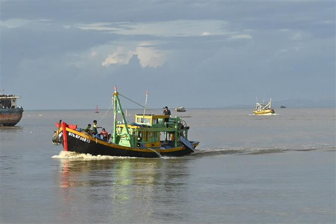 Bình Thuận kiên quyết chấm dứt tình trạng tàu cá khai thác trái phép ảnh 1