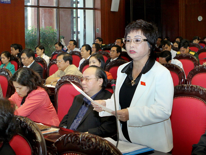 Làm rõ trách nhiệm liên quan đến sai phạm của bà Châu Thị Thu Nga ảnh 1