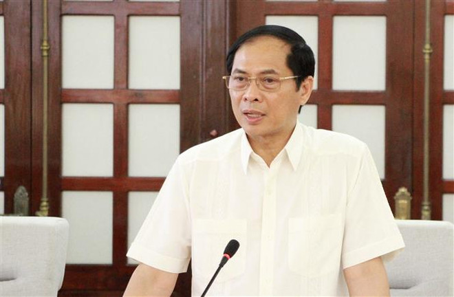 Nâng cao hiệu quả công tác lãnh sự và bảo hộ công dân ảnh 1