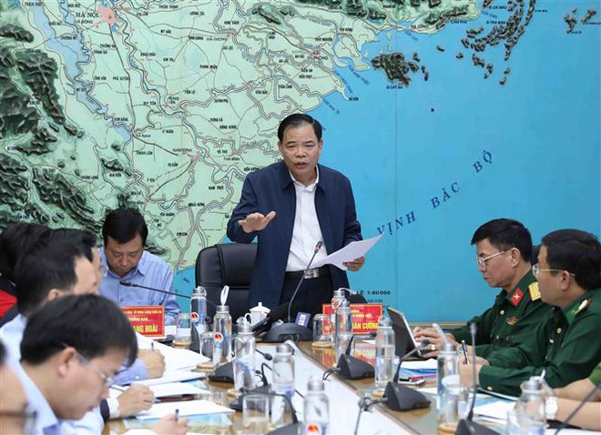 Chủ động ứng phó với áp thấp nhiệt đới có khả năng thành bão ảnh 1