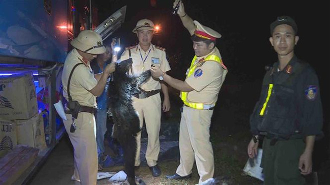 Đắk Lắk: Phát hiện vụ vận chuyển 70 thú rừng không rõ nguồn gốc ảnh 1
