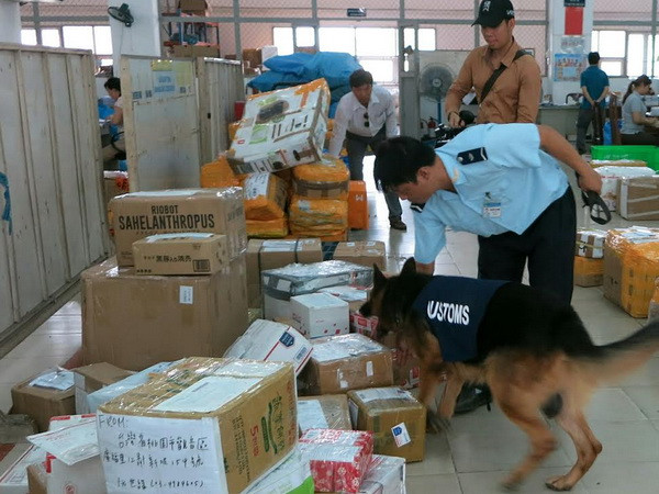 Bắt gần 1,9 tấn lá Khat nhập trái phép qua đường bưu điện ảnh 1