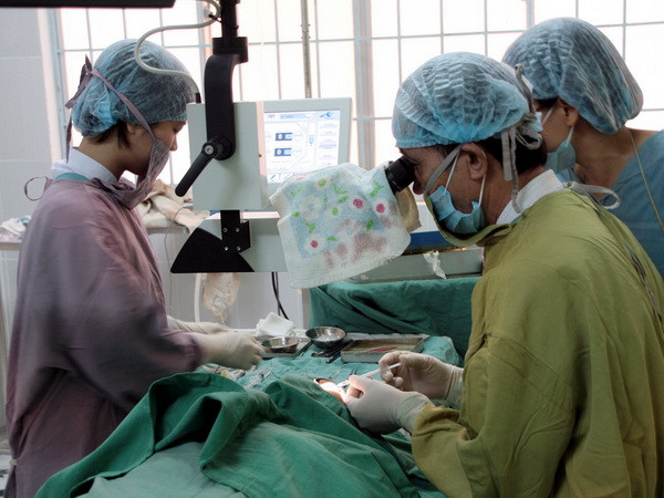 Cấy ghép tế bào gốc phôi người để điều trị suy giảm thị lực ảnh 1