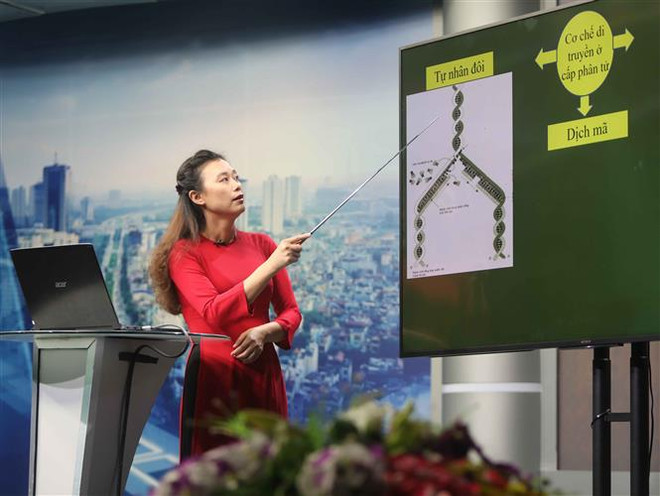 Điều chỉnh giảm tải chương trình học tập và ôn tập cho phù hợp ảnh 1