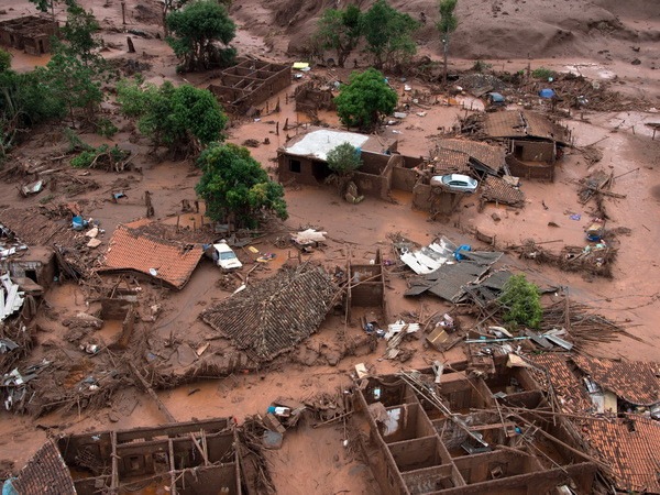 Samarco cam kết trồng rừng lớn gấp 21 lần diện tích bị hủy hoại ảnh 1