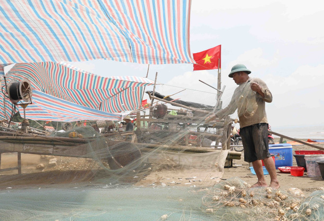 Tất bật gỡ cá khỏi lưới khi bè mảng kết thúc chuyến vươn khơi cuối cùng trước dịp nghỉ lễ Quốc khánh 2/9. (Ảnh: Xuân Tiến/TTXVN) ttxvn_ngu dan dien chau3.jpg