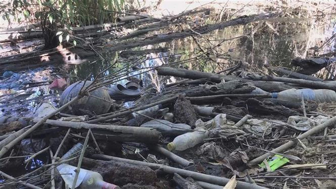 Nước thải không được xử lý, người dân thành phố Quảng Ngãi kêu cứu ảnh 2