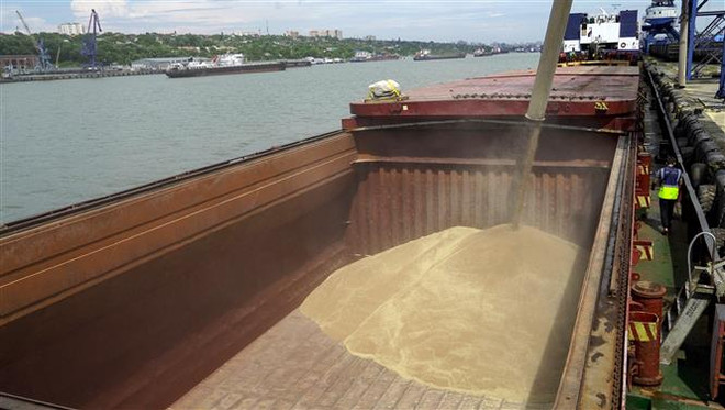 Ngũ cốc được chuyển lên tàu chở hàng tại cảng quốc tế Rostov-on-Don, Nga. (Ảnh: AFP/TTXVN) Tìm cách nới lỏng xuất khẩu ngũ cốc và phân bón từ Nga sang châu Phi ảnh 1