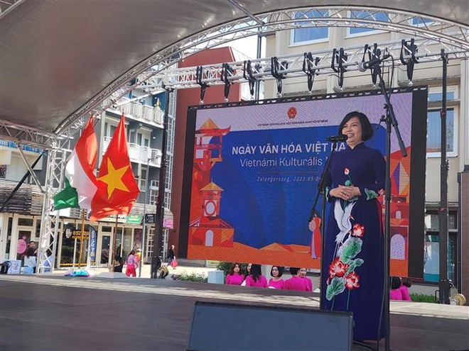 Ngày Văn hóa Việt Nam ghi ấn tượng sâu đậm tại Hungary ảnh 3