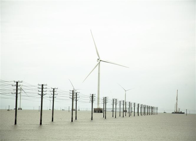 5 chủ đầu tư điện sạch đồng ý mức giá tạm bằng 50% khung giá phát điện ảnh 1