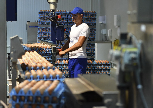 Thổ Nhĩ Kỳ bác bỏ cáo buộc đã xuất khẩu trứng "bẩn" của EC ảnh 1