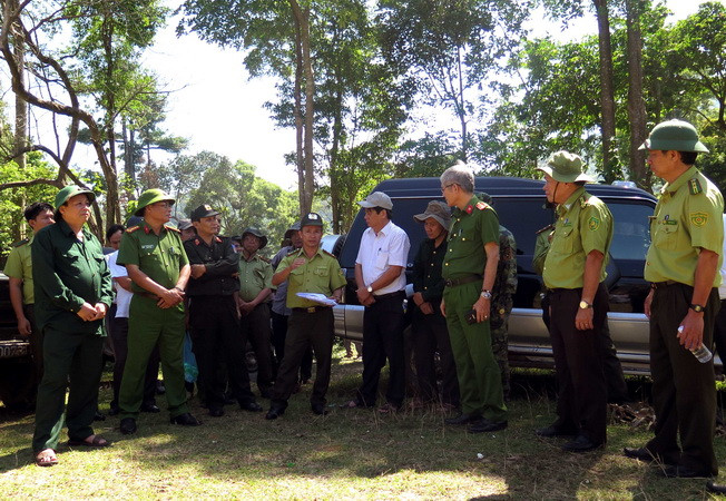 Bình Định kiểm tra, điều tra làm rõ vụ phá hơn 43ha rừng tự nhiên ảnh 1