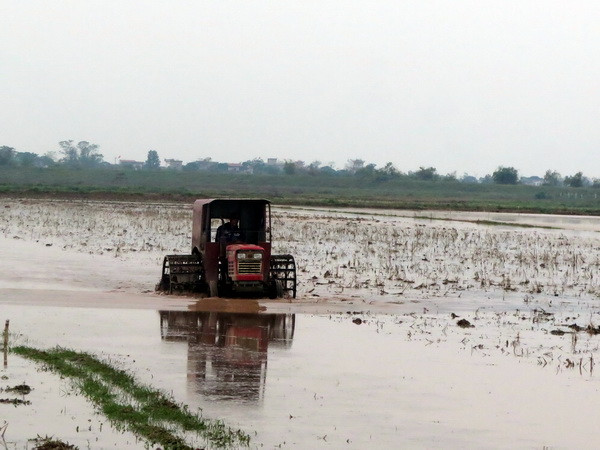Lịch lấy nước đợt 2 phục vụ gieo cấy lúa vụ Đông Xuân ảnh 1