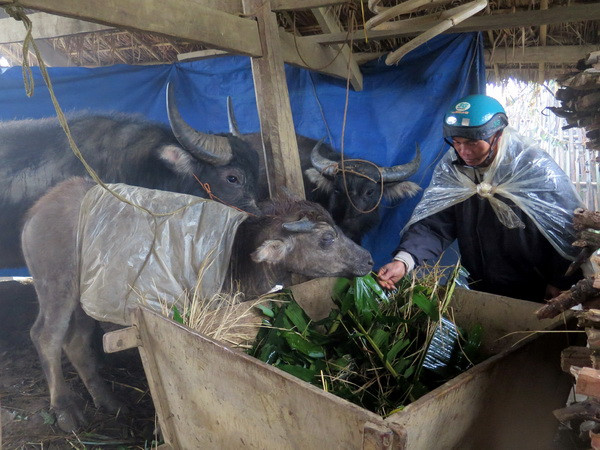 Bắc Bộ rét đậm, có nơi nhiệt độ giảm xuống dưới 12 độ C ảnh 1