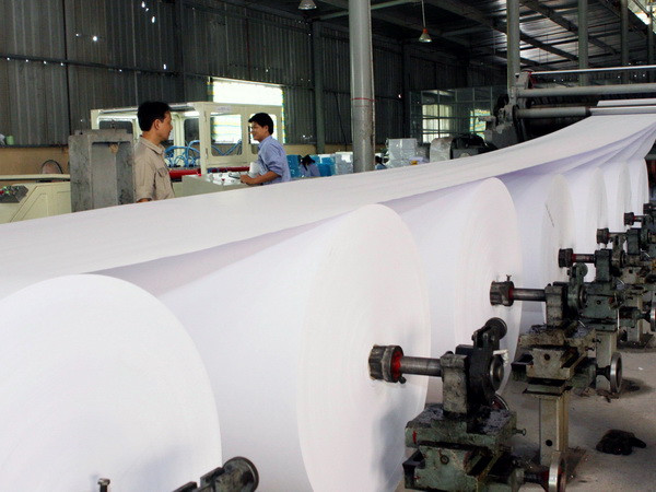 Trưởng ban Kinh tế TW làm việc với Ngân hàng Phát triển Việt Nam ảnh 1