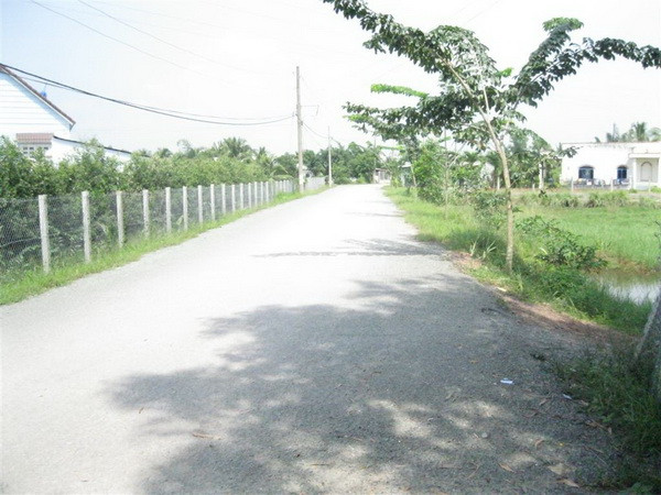 TP.HCM phấn đấu 100% xã hoàn thành xây dựng nông thôn mới ảnh 1