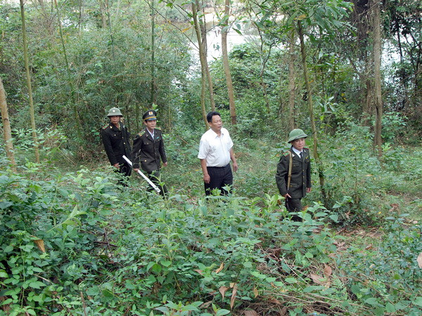 Chính sách bảo vệ, phát triển rừng gắn giảm nghèo bền vững ảnh 1