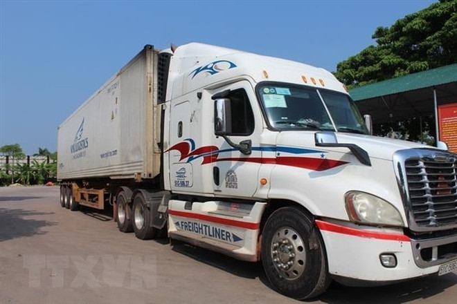 Phương tiện vận tải hàng hóa ra vào khu vực cửa khẩu Móng Cái. (Ảnh: TTXVN phát) Bàn biện pháp sớm thông quan hàng hóa trở lại tuyến Móng Cái-Đông Hưng ảnh 1