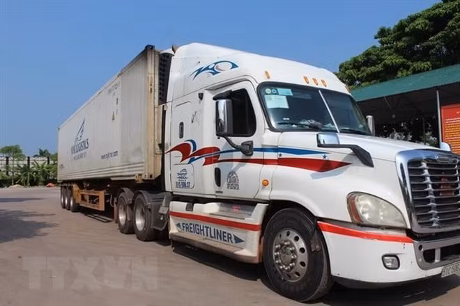 Bàn biện pháp sớm thông quan hàng hóa trở lại tuyến Móng Cái-Đông Hưng ảnh 1