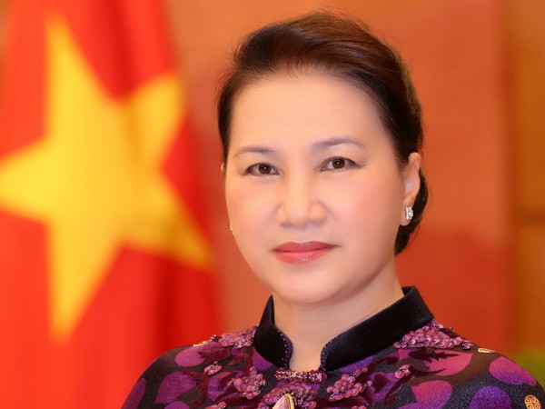 Chủ tịch Quốc hội sẽ dự Hội nghị MSEAP và thăm chính thức Thổ Nhĩ Kỳ ảnh 1