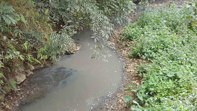 Khắc phục ô nhiễm và cải thiện môi trường lưu vực sông tại Việt Nam ảnh 1