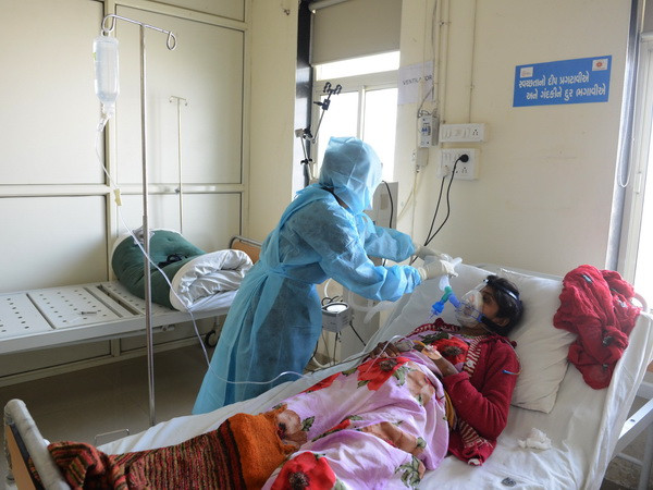 Số người tử vong do cúm lợn đang tăng mạnh tại Ấn Độ ảnh 1