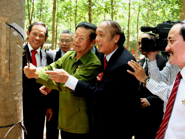 Công ty Quasa-Geruco bắt đầu khai thác mủ cao su tại Lào ảnh 1