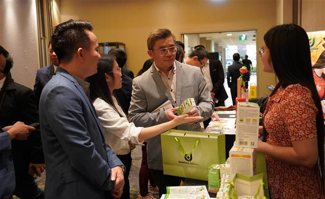 Kết nối tỉnh Thái Bình với đối tác Australia vì mục tiêu phát triển ảnh 1