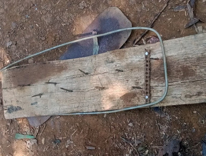 Đắk Nông: Lâm tặc cài bẫy đinh, ngăn cản lực lượng bảo vệ rừng ảnh 1