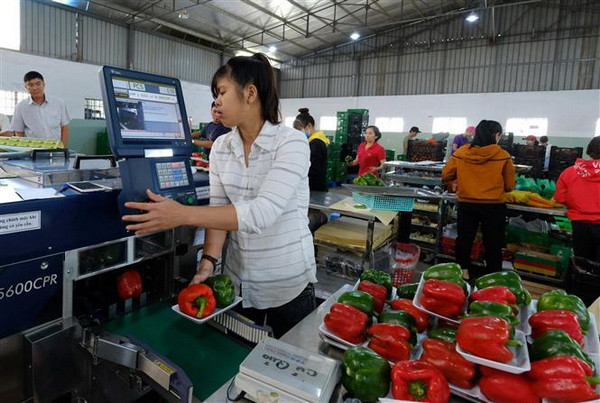 Sẽ xây dựng Cổng thông tin truy xuất nguồn gốc sản phẩm quốc gia ảnh 1