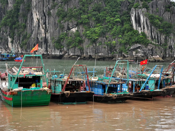 Quảng Ninh: Ưu tiên hàng đầu là đảm bảo an toàn cho người dân ảnh 1