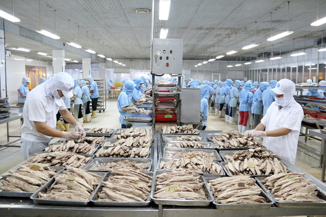 Thúc đẩy quan hệ hợp tác toàn diện giữa Việt Nam và Hoa Kỳ ảnh 1