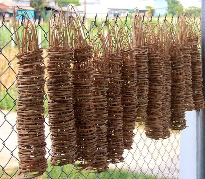 Khởi nghiệp bằng mô hình sản xuất quai treo mây, ống hút trúc ảnh 1